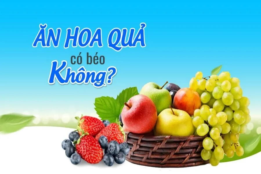 Ăn hoa quả có béo không? Loại trái cây nào nên tránh khi giảm cân?