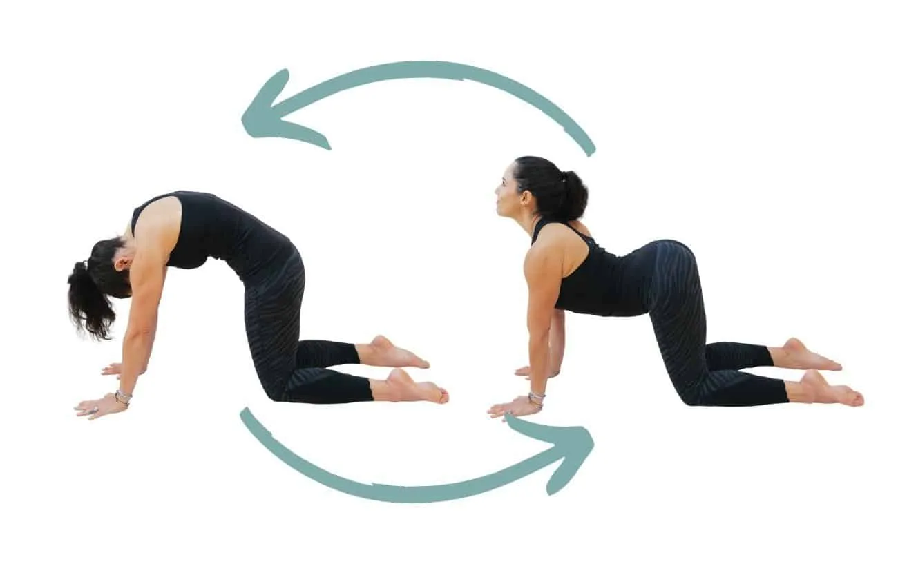 Bật mí 13 bài tập yoga giảm mỡ bụng hiệu quả nhanh từ thầy Ấn Độ