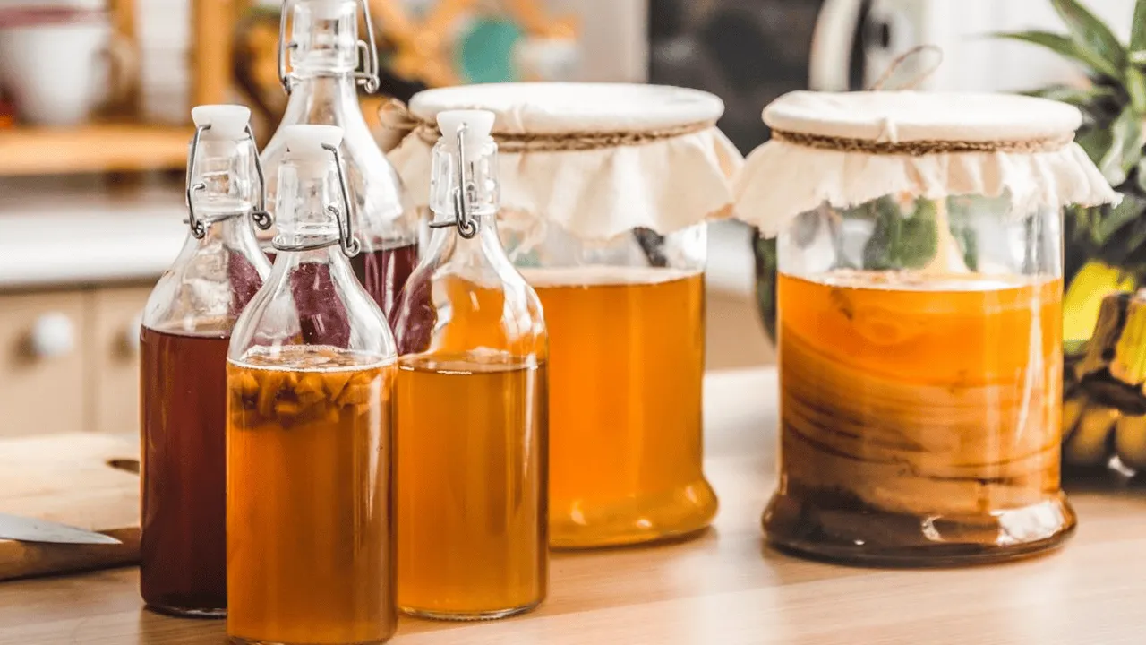 Cách uống kombucha giảm cân an toàn, khỏe mạnh