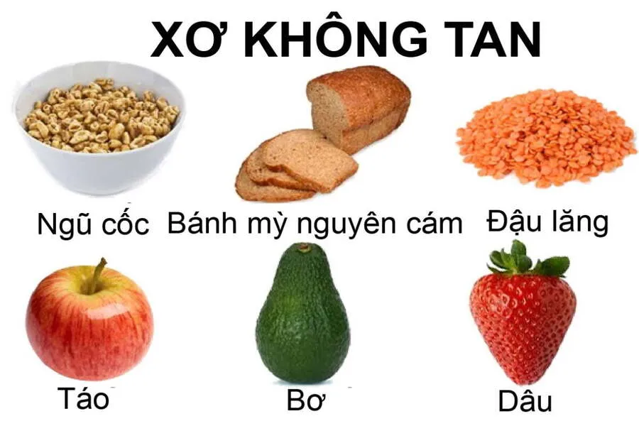 Chất xơ là gì? Tác dụng của chất xơ đối với sức khỏe