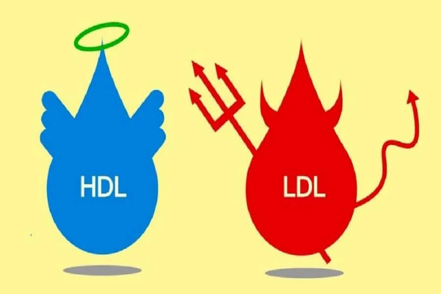 Cholesterol là gì? Những điều cần biết về cholesterol