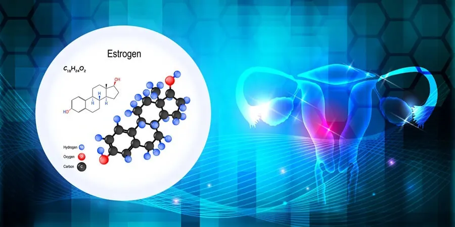 Estrogen là gì? Có vai trò gì với cơ thể?