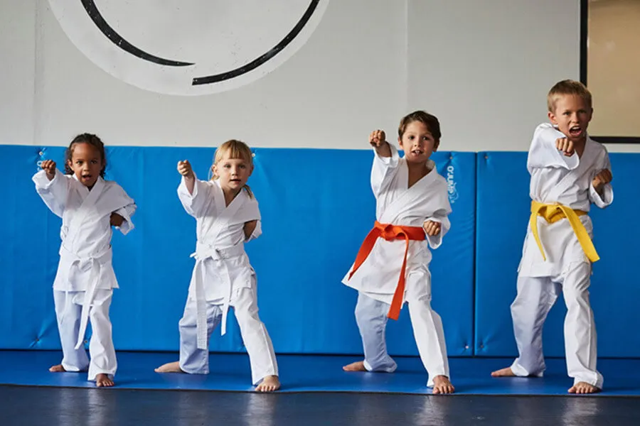 Karate có mấy đai? Ý nghĩa các đai trong Karate