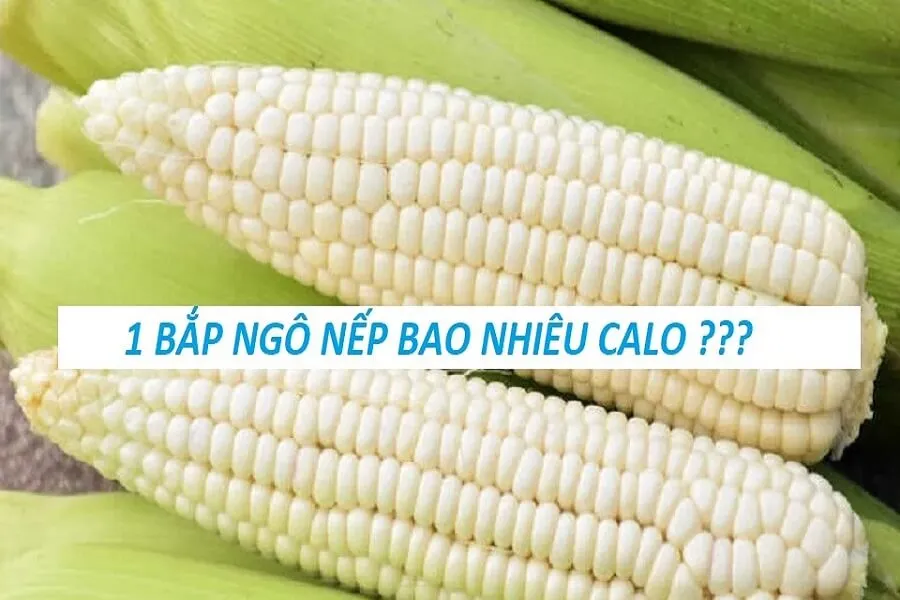 Một trái bắp nếp bao nhiêu calo? Ăn ngô nếp có béo không?