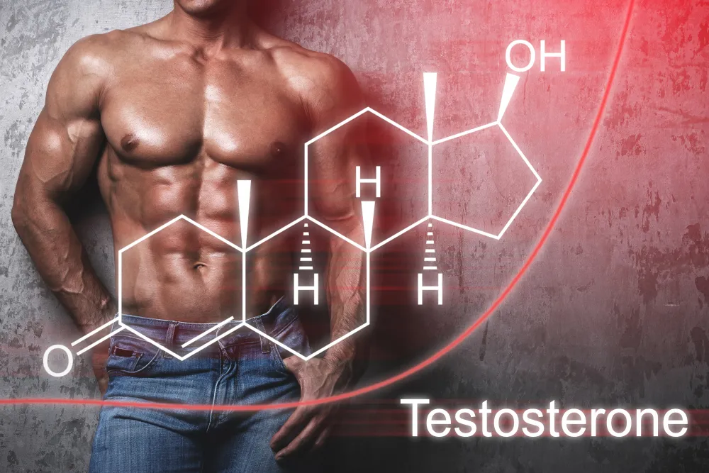 Testosterone là gì? 9 vai trò của testosterone