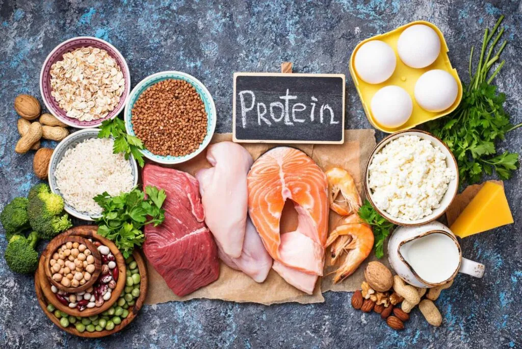 Tìm hiểu thực phẩm giàu protein nhất cho gymer