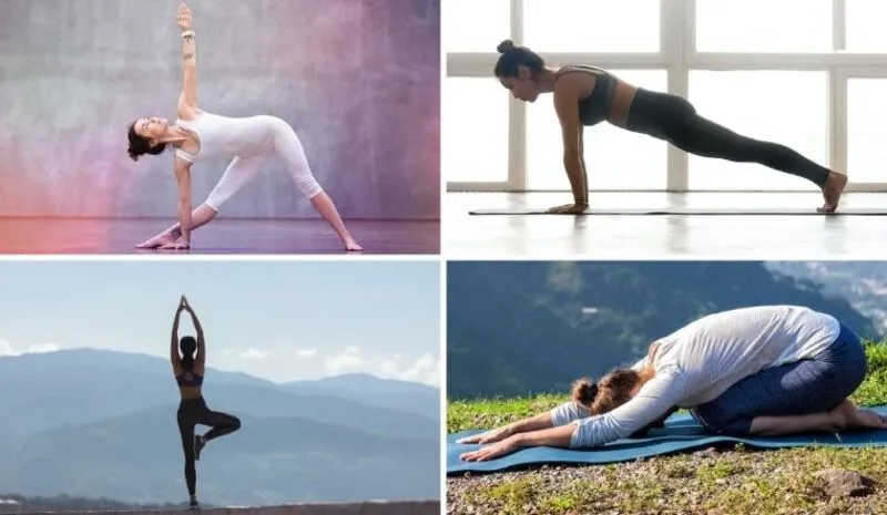 Tổng hợp các bài tập yoga cho người mới tập