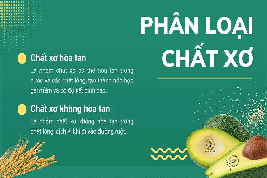 Tổng hợp những thực phẩm giàu chất xơ tốt cho sức khỏe