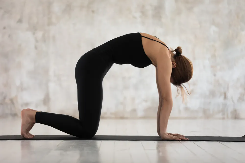 Top 12 bài tập yoga chữa thoái hóa đốt sống cổ hiệu quả