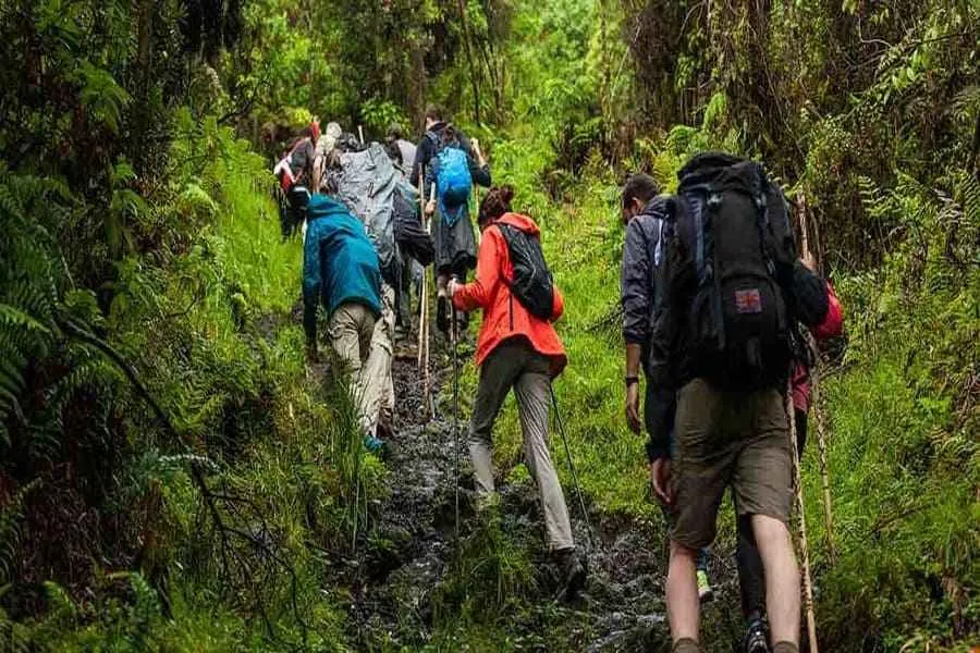 Trekking là gì? Những lưu ý khi Trekking để đảm bảo an toàn