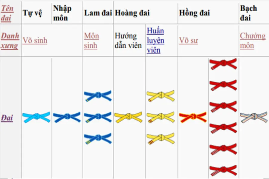 Vovinam có mấy đai? Cấp bậc và ý nghĩa các màu đai trong vovinam