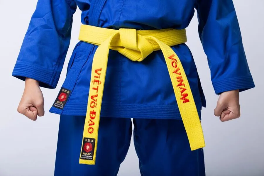 Vovinam có mấy đai? Cấp bậc và ý nghĩa các màu đai trong vovinam